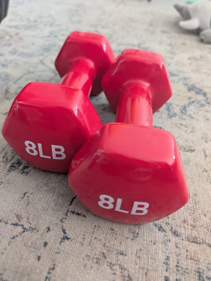 Home Gym Starter Set: 102lb Dumbbells + Pull Up Bar - photo 4
