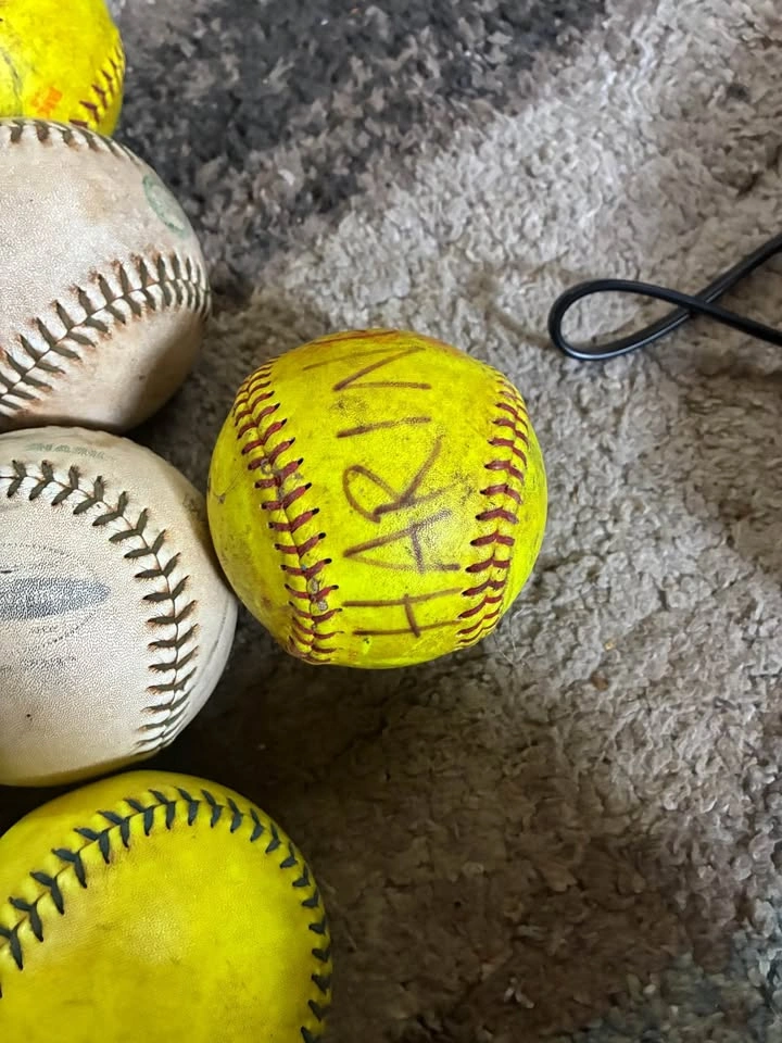 12 inch league softballs - photo 4