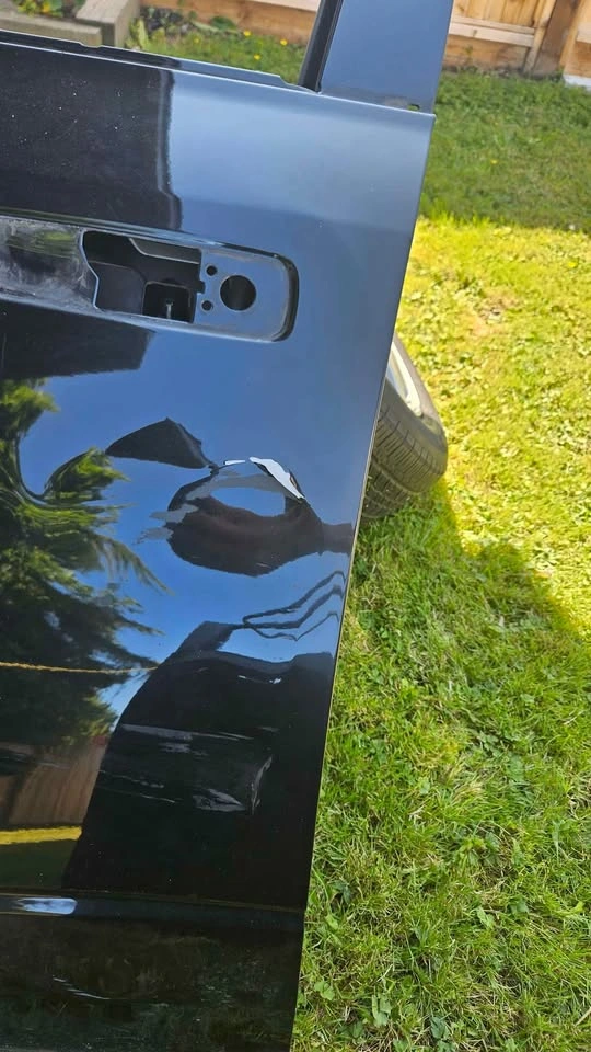 Dodge Ram 1500 Driver Side Door - photo 2