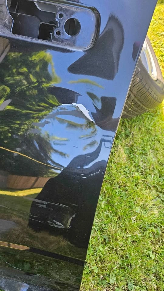 Dodge Ram 1500 Driver Side Door - photo 3