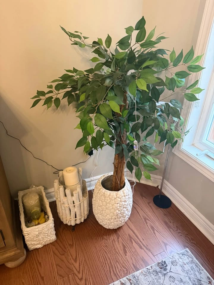 Ficus Artificial Tree with Planters and candle holder - photo 4