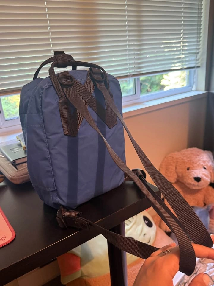 Fjällräven Kånken Mini Backpack - photo 3