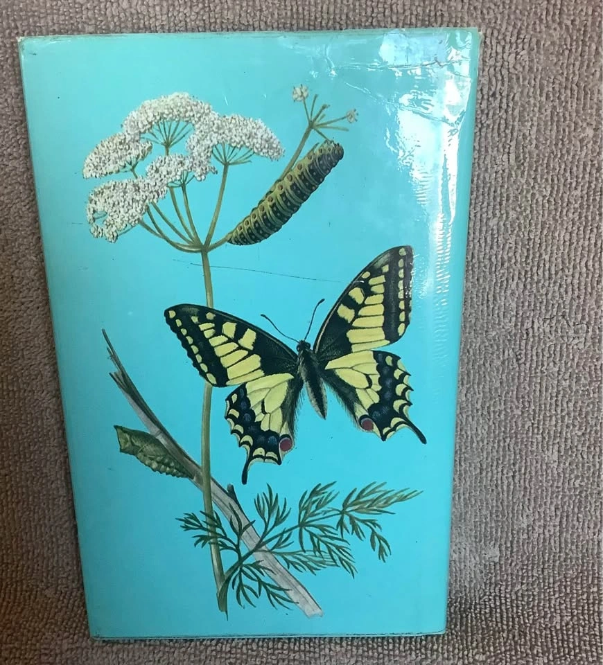 Vintage 1975 A Colour Guide To Familiar Butterflies Book - photo 4