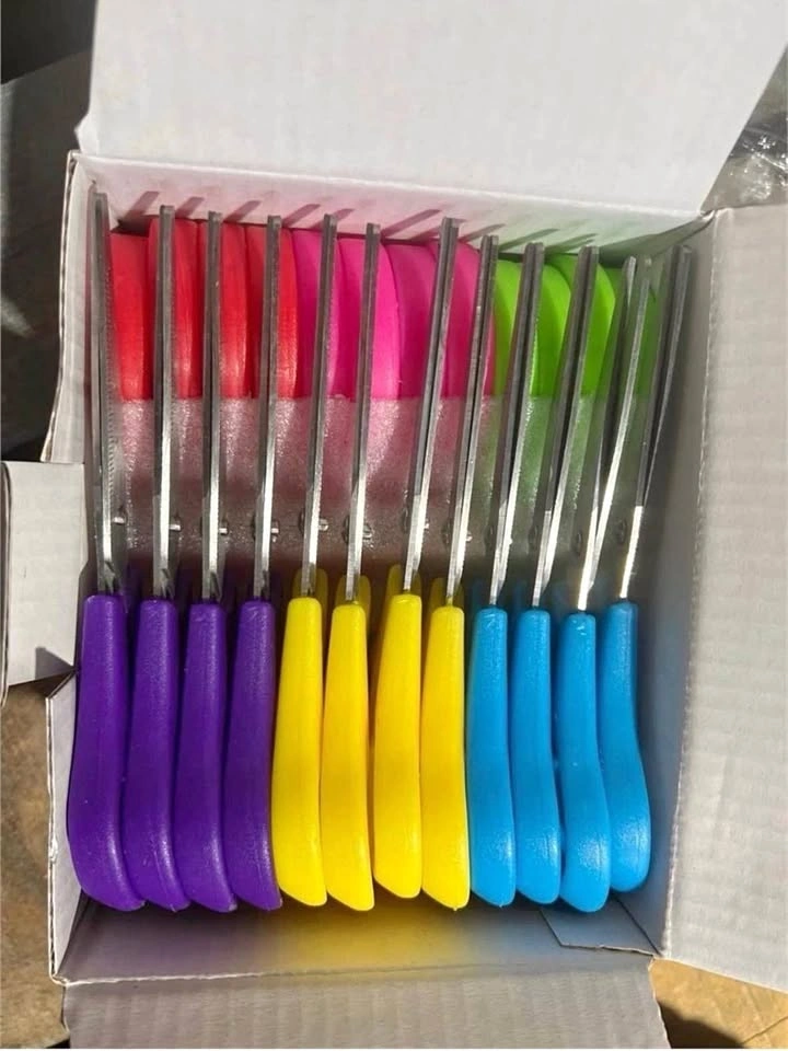 Colorful scissors set 24 Pack