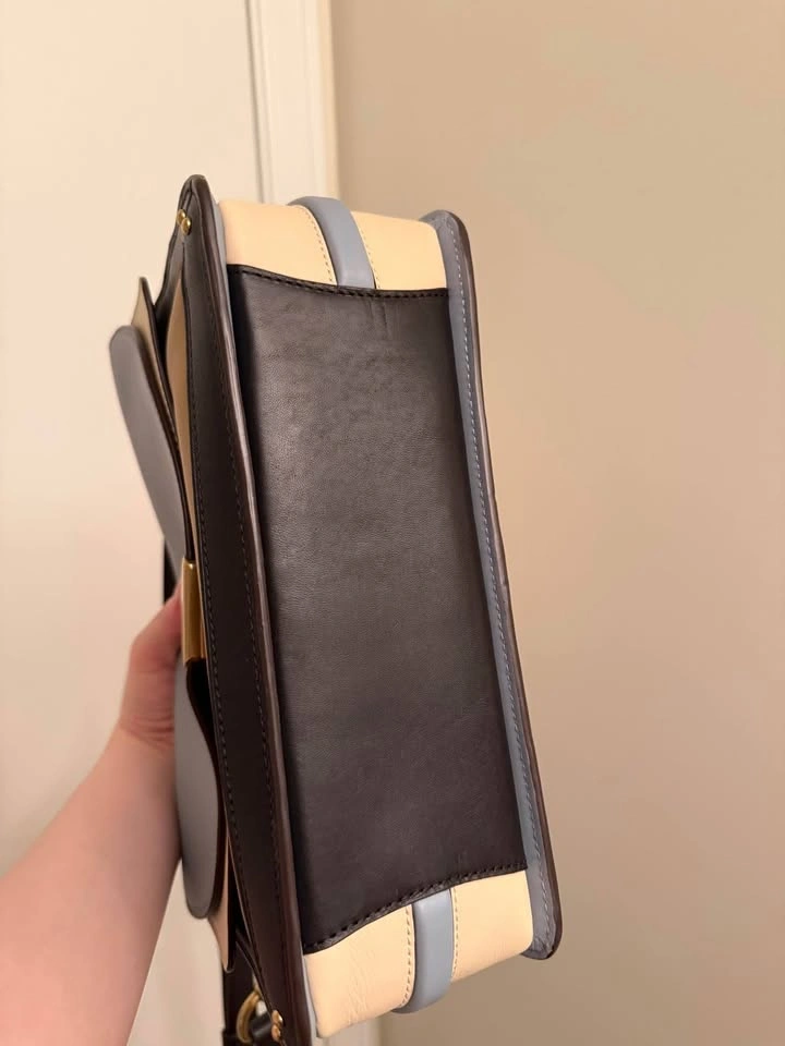 Coach Dreamer Colorblock Shoulder Bag - photo 4