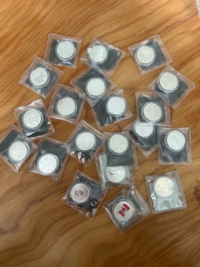 1/4oz 99.99% Fine Silver Coins