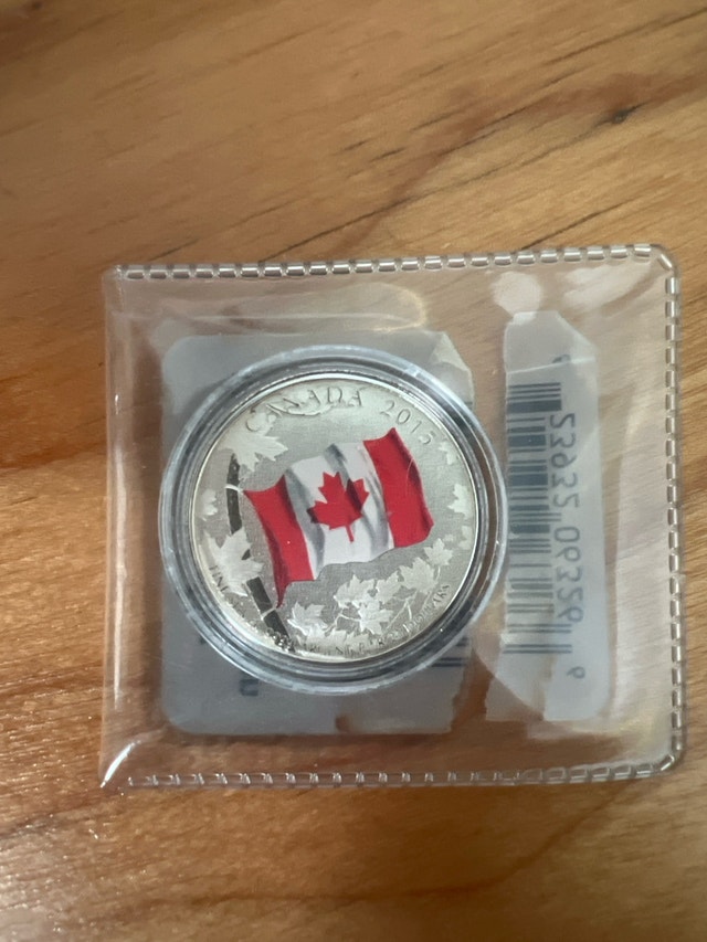 1/4oz 99.99% Fine Silver Coins - photo 2