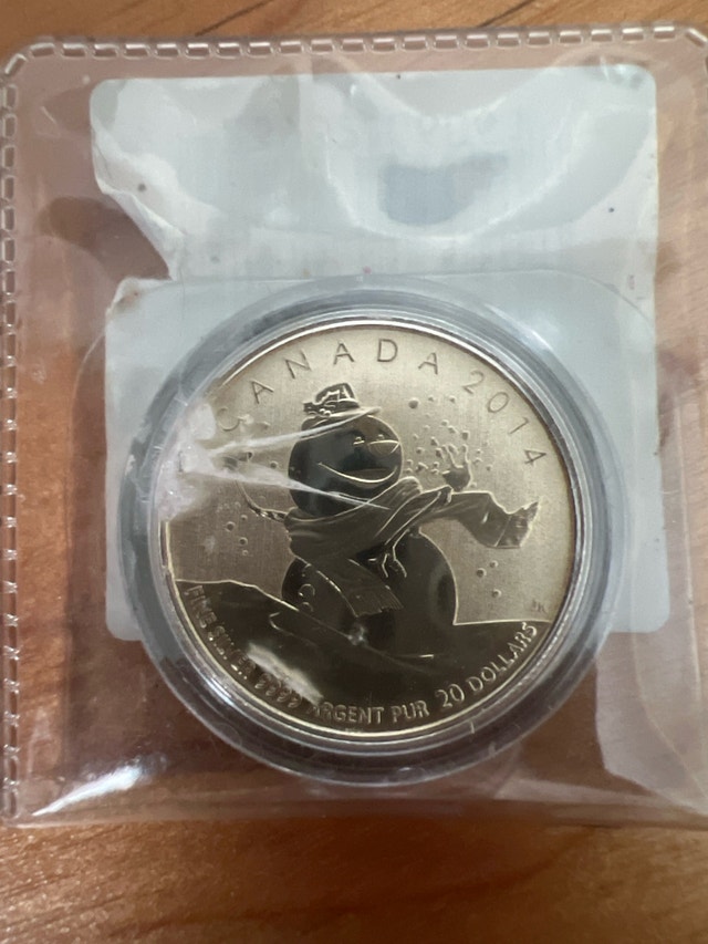 1/4oz 99.99% Fine Silver Coins - photo 4