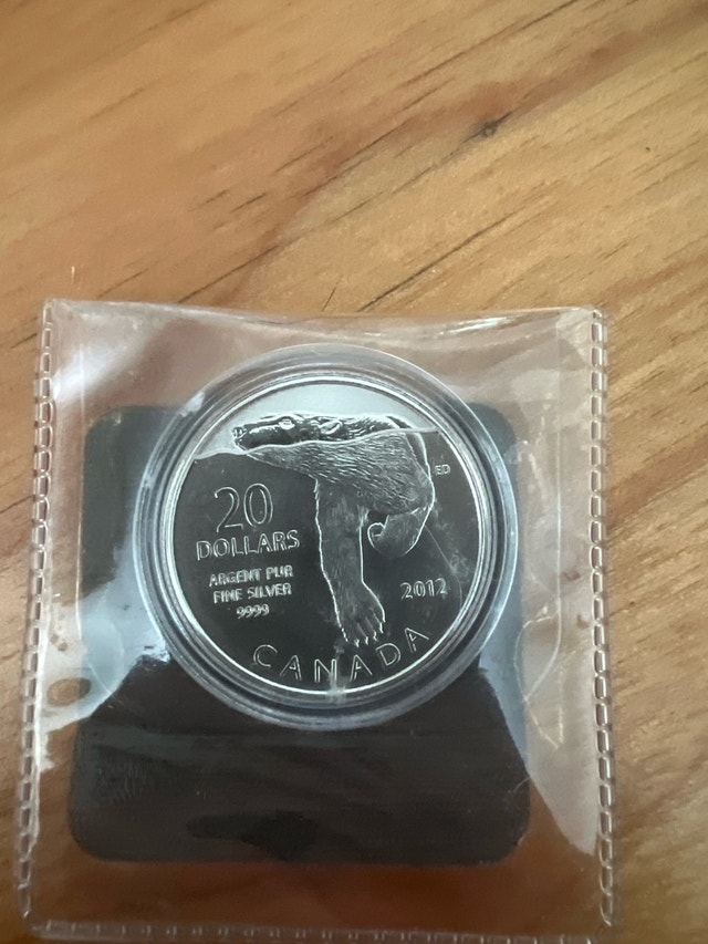 1/4oz 99.99% Fine Silver Coins - photo 5
