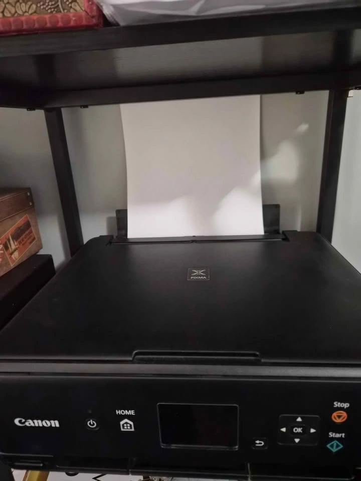 Canon PIXMA TS5020 Printer - photo 2