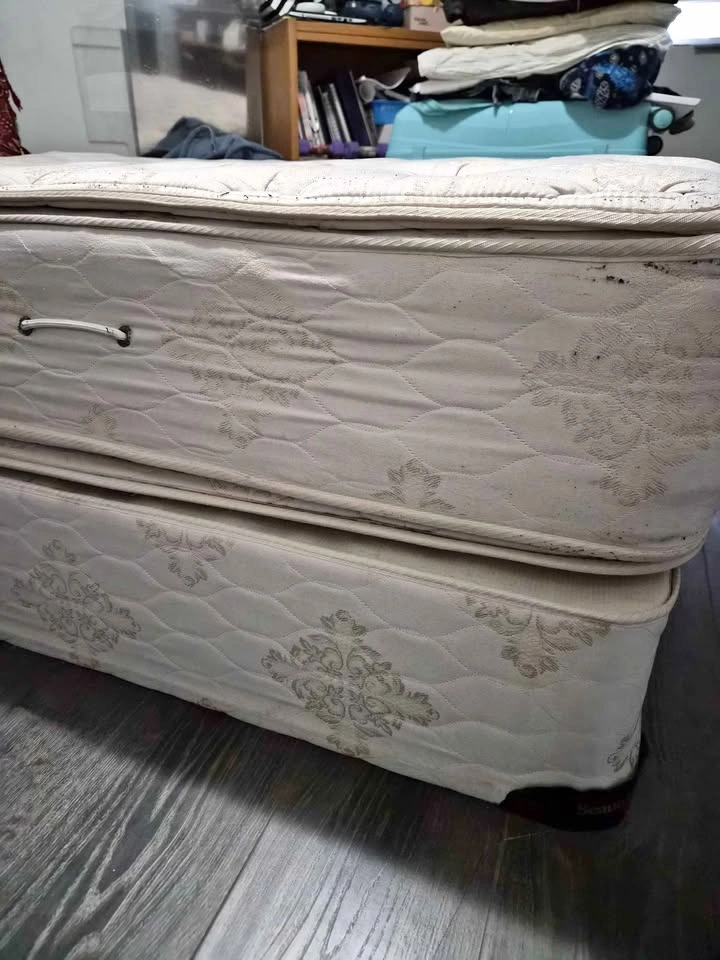 Beautyrest Mattress and Box Spring Set