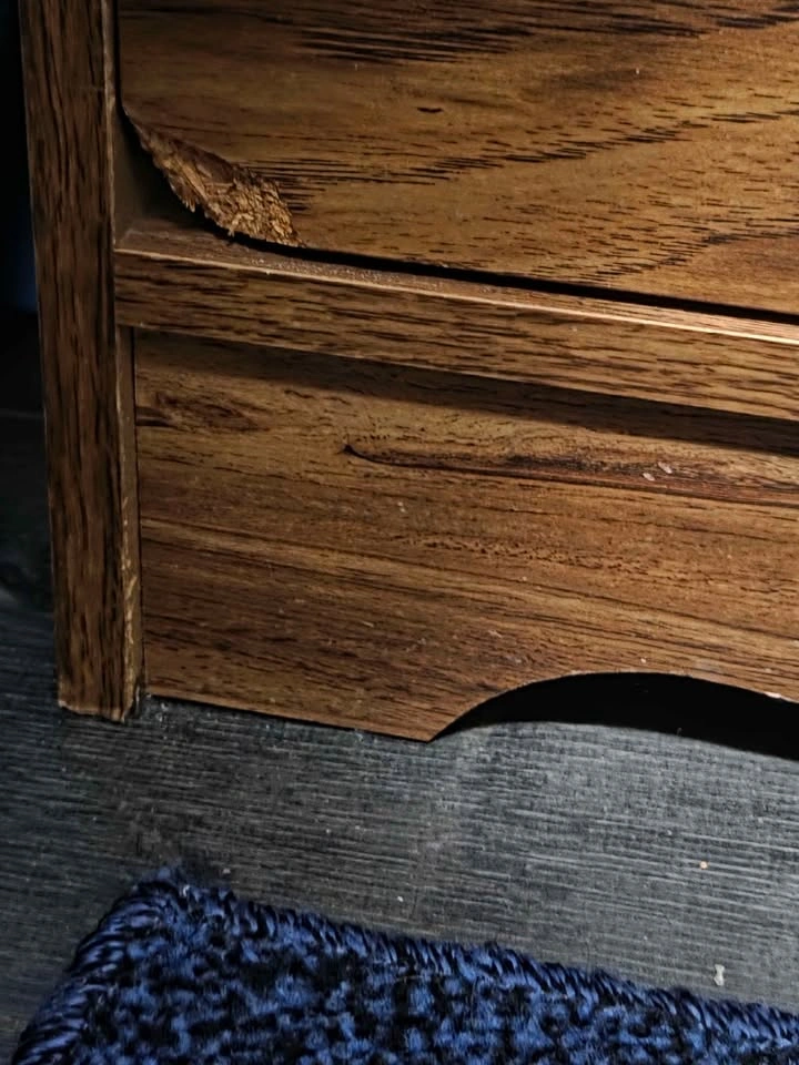 Mid-Century Modern Wood Chifforobe Dresser and Nightstand - photo 3