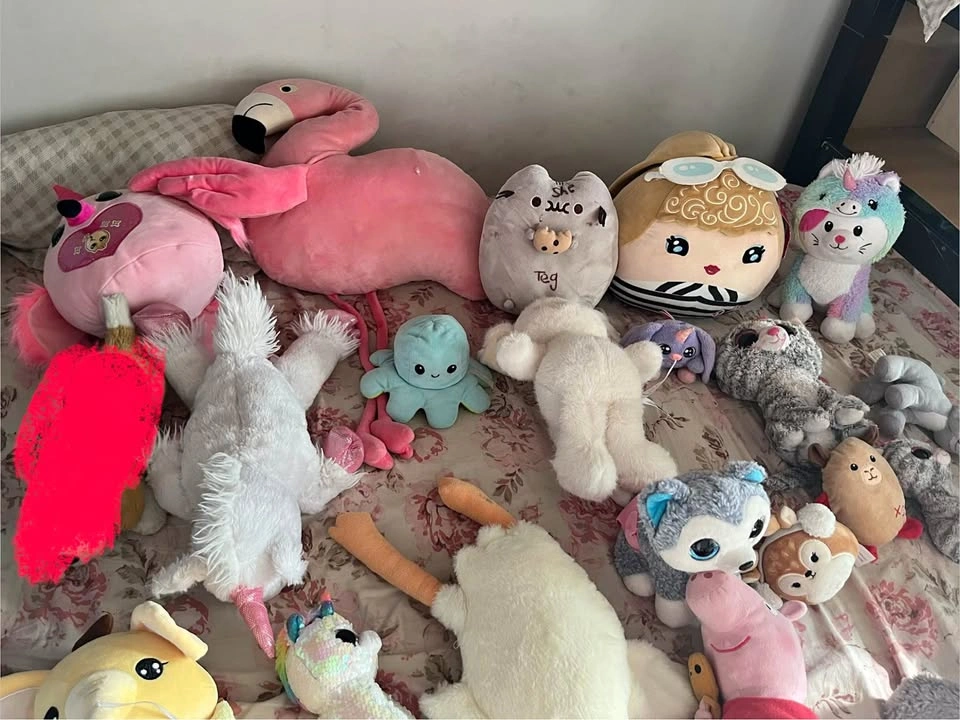 Assorted Plush Toy Collection - Squishmallows, Pusheen, Ty Beani