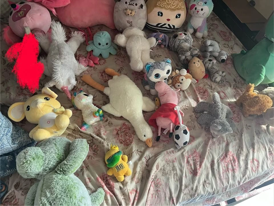 Assorted Plush Toy Collection - Squishmallows, Pusheen, Ty Beani - photo 2