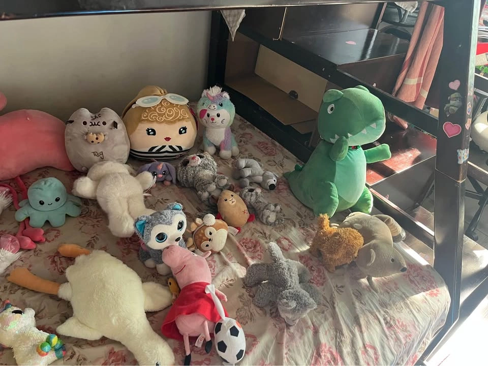 Assorted Plush Toy Collection - Squishmallows, Pusheen, Ty Beani - photo 3