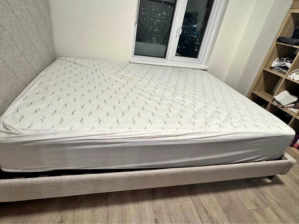 Queen Size Firm Mattress + Mattress Protector