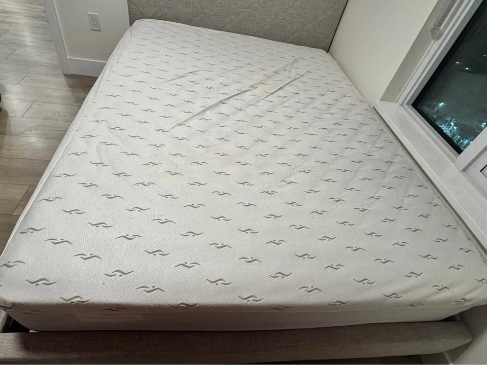 Queen Size Firm Mattress + Mattress Protector - photo 3