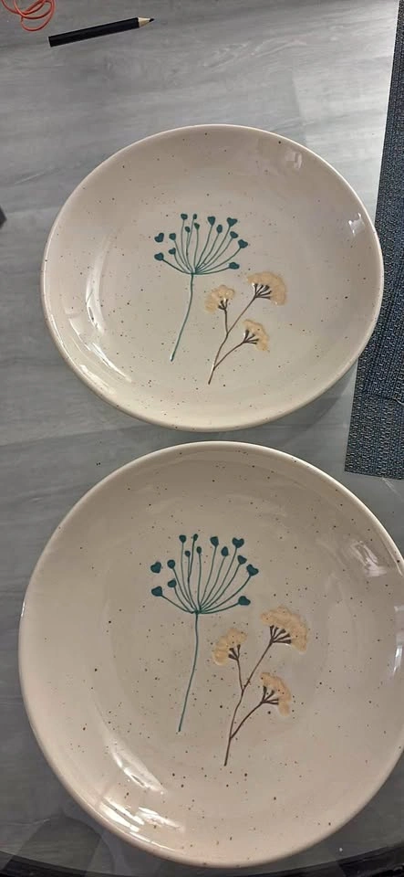 Set of 2 Floral Ceramic Plates