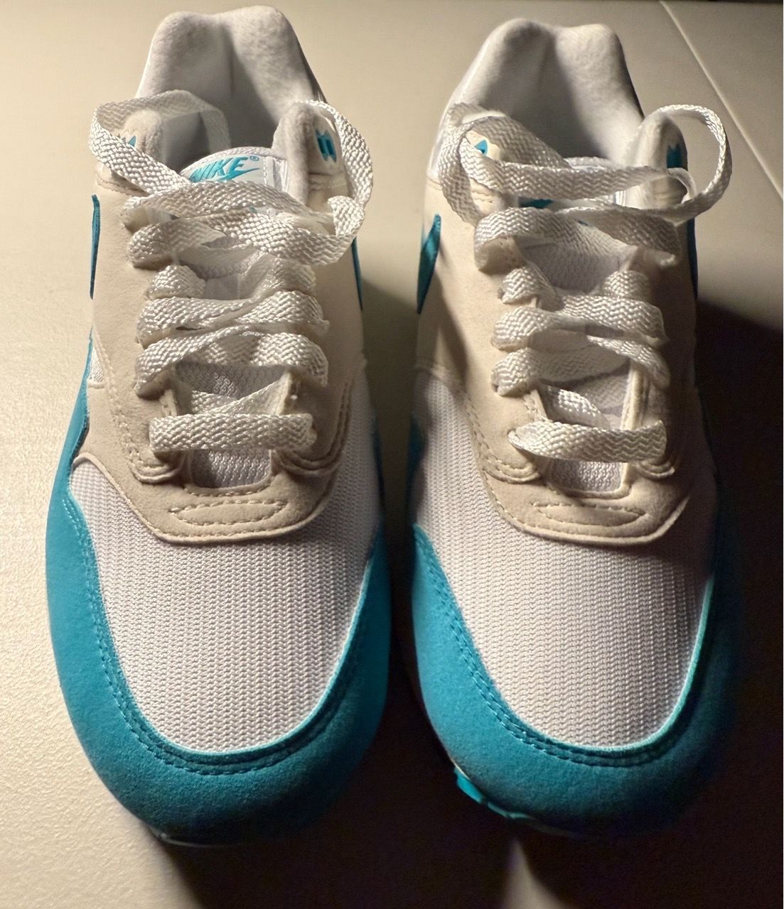 Nike Air Max 1 Dusty Cactus (Women's) - DZ2628-107