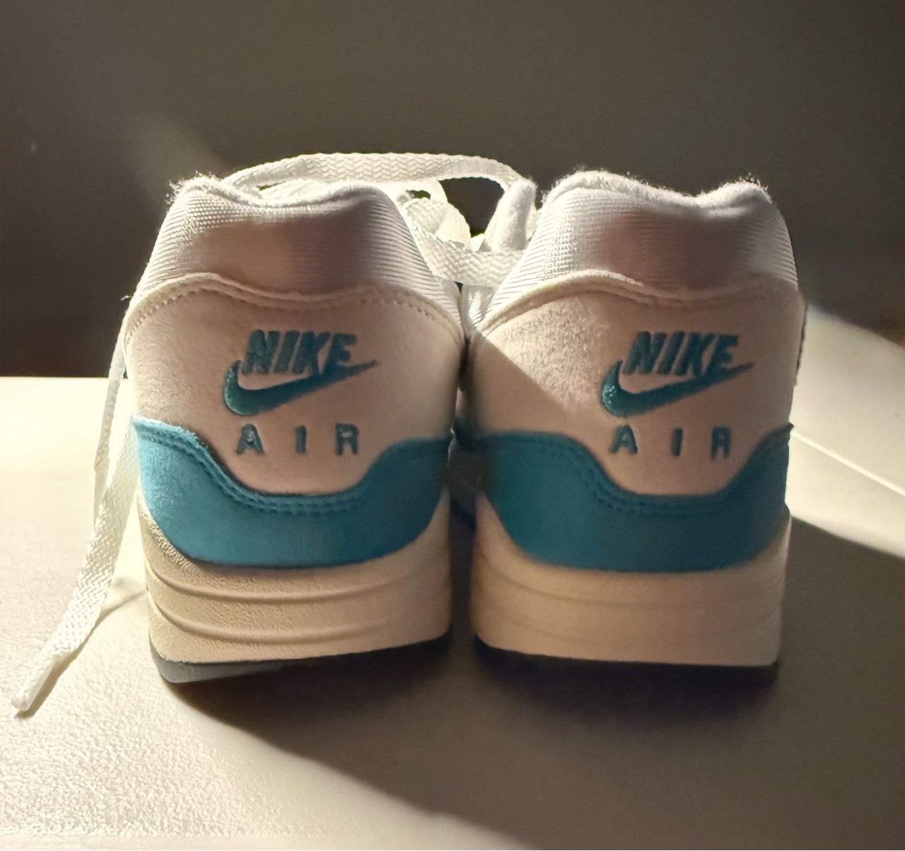 Nike Air Max 1 Dusty Cactus (Women's) - DZ2628-107 - photo 2