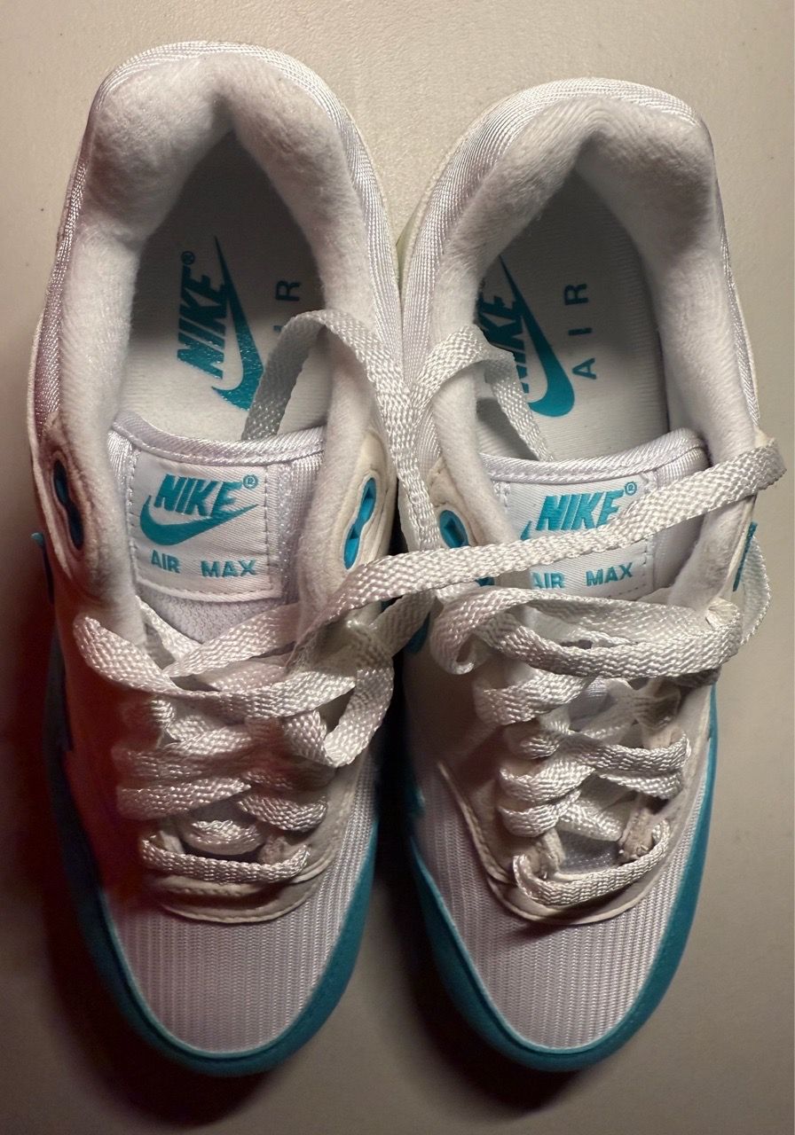 Nike Air Max 1 Dusty Cactus (Women's) - DZ2628-107 - photo 3