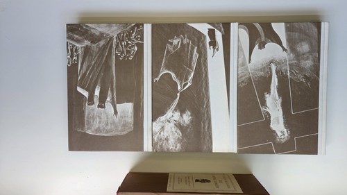 The Divine Comedy 3 Vol Box Set by Dante Alighieri (1966, HC, Il - photo 5