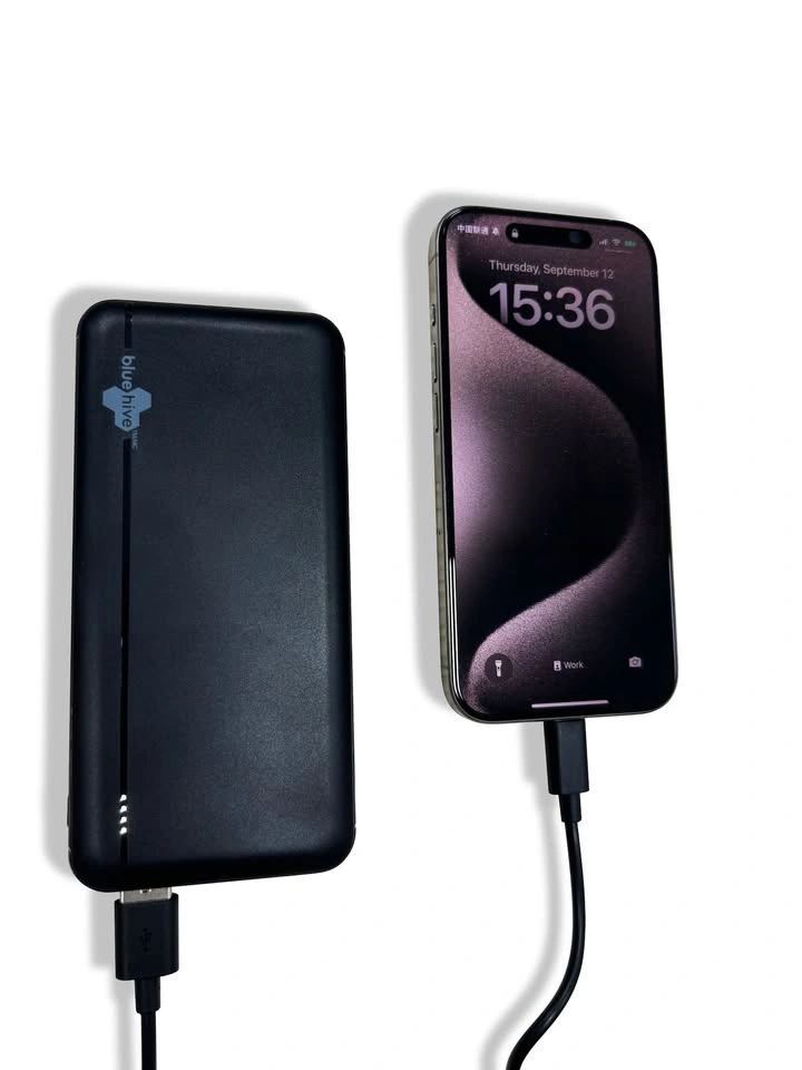Bluehive 10,000 mAh 20W Power Bank – Brand New - photo 4