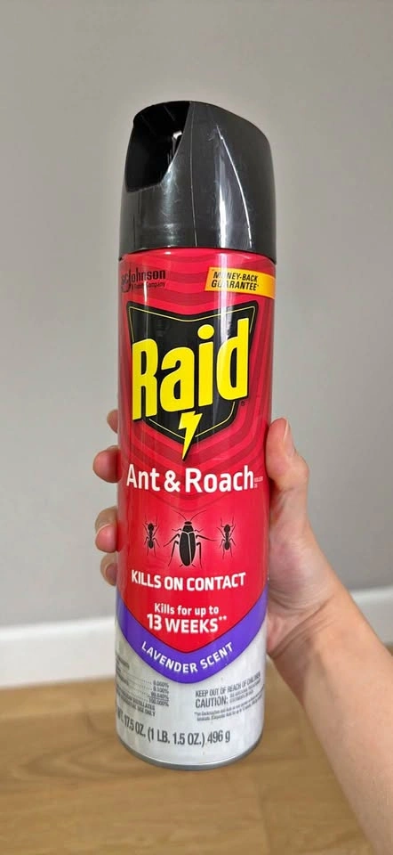 Raid Spray (used once)