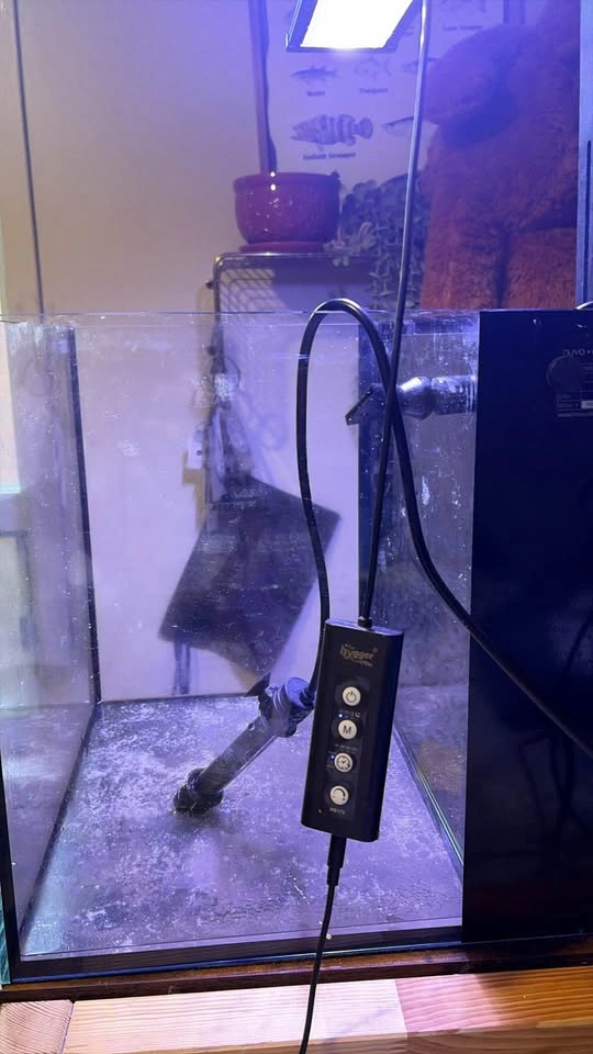 Innovative Marine 15 Gallon All-In-One Aquarium + Light & Heater - photo 3