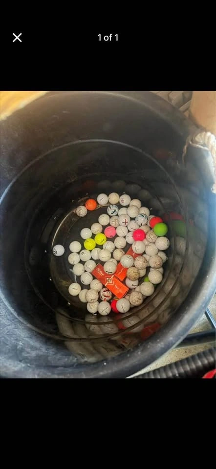 🏌️ BUYING USED GOLF BALLS — ALL QUANTITIES WELCOME 🏌️ - photo 5