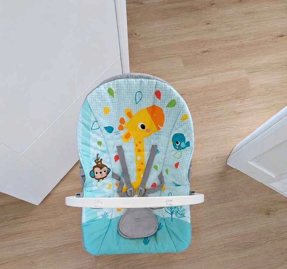 Bright Starts Baby Bouncer