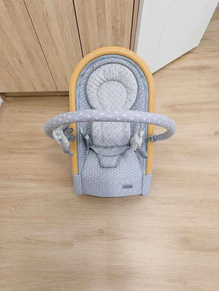 Safety 1st Baby Bouncer - photo 2