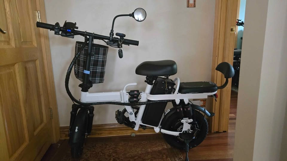 Brand New Folding Ebikes - Elmhurst - photo 2