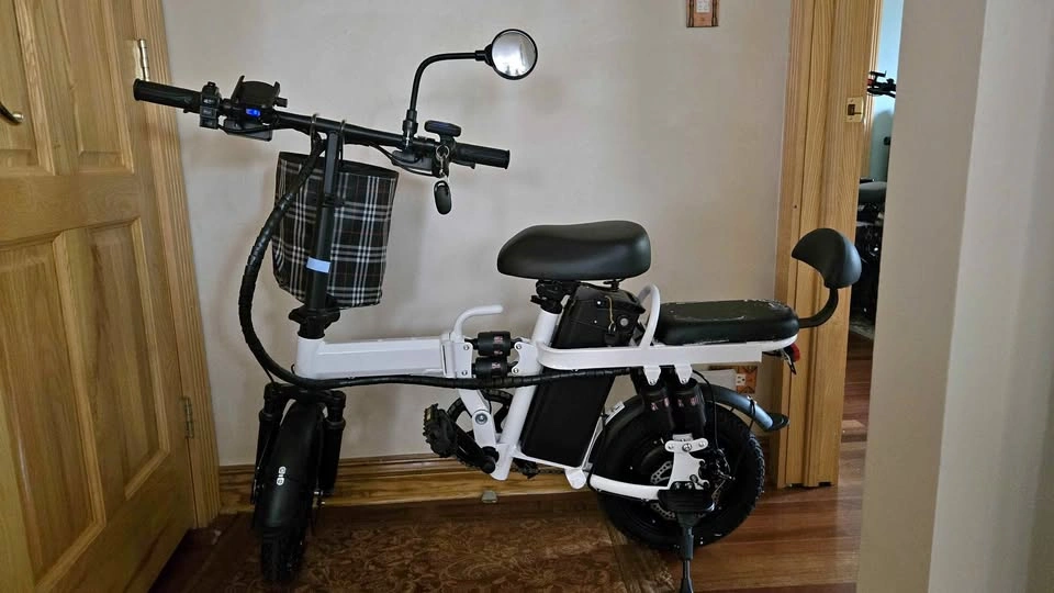 Folding Ebike, 48V 20Ah, White