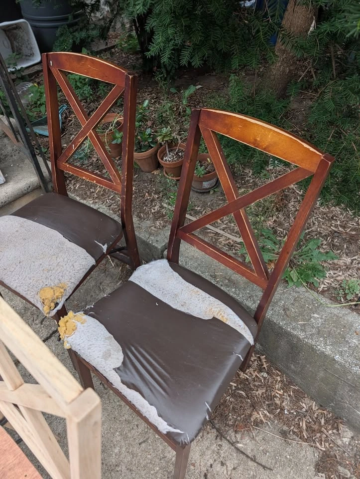 Vintage Mid-Century Solid Wood Folding Dining Chairs – Project S - photo 2