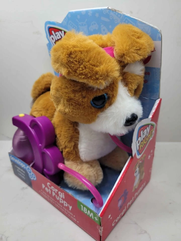 Corgi Pet Puppy - photo 5