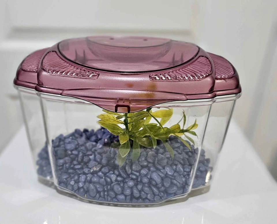 Small plastic fish tank / Portage Park pick up