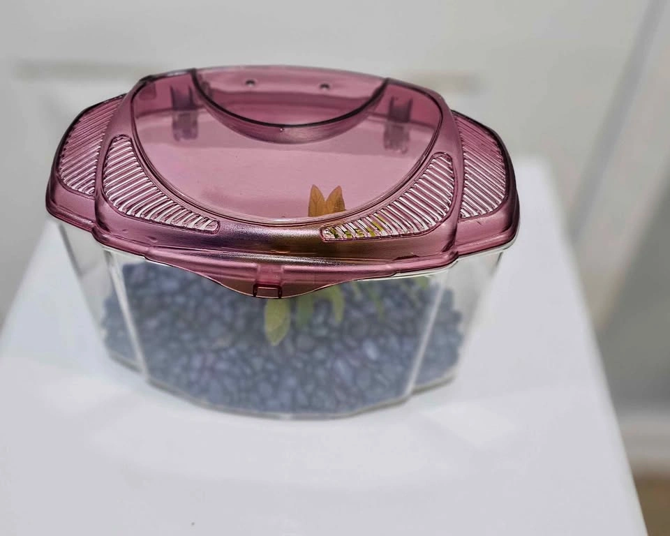 Small plastic fish tank / Portage Park pick up - photo 2