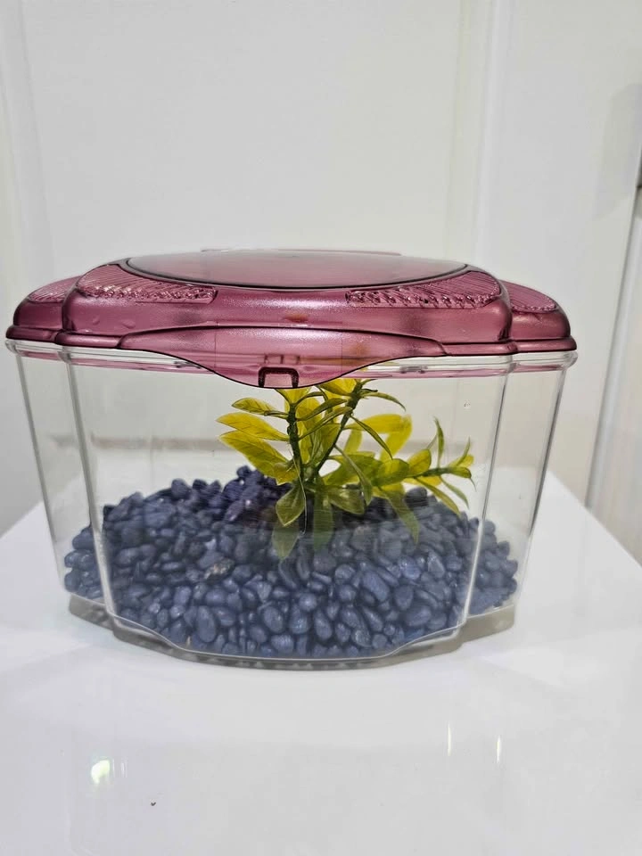 Small plastic fish tank / Portage Park pick up - photo 3