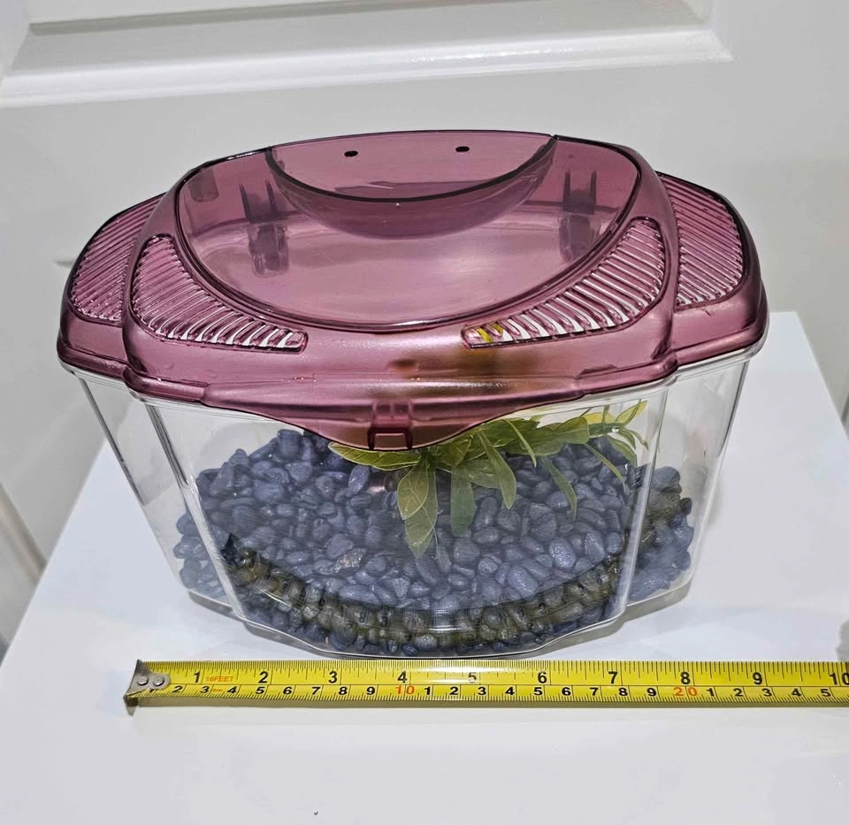 Small plastic fish tank / Portage Park pick up - photo 4