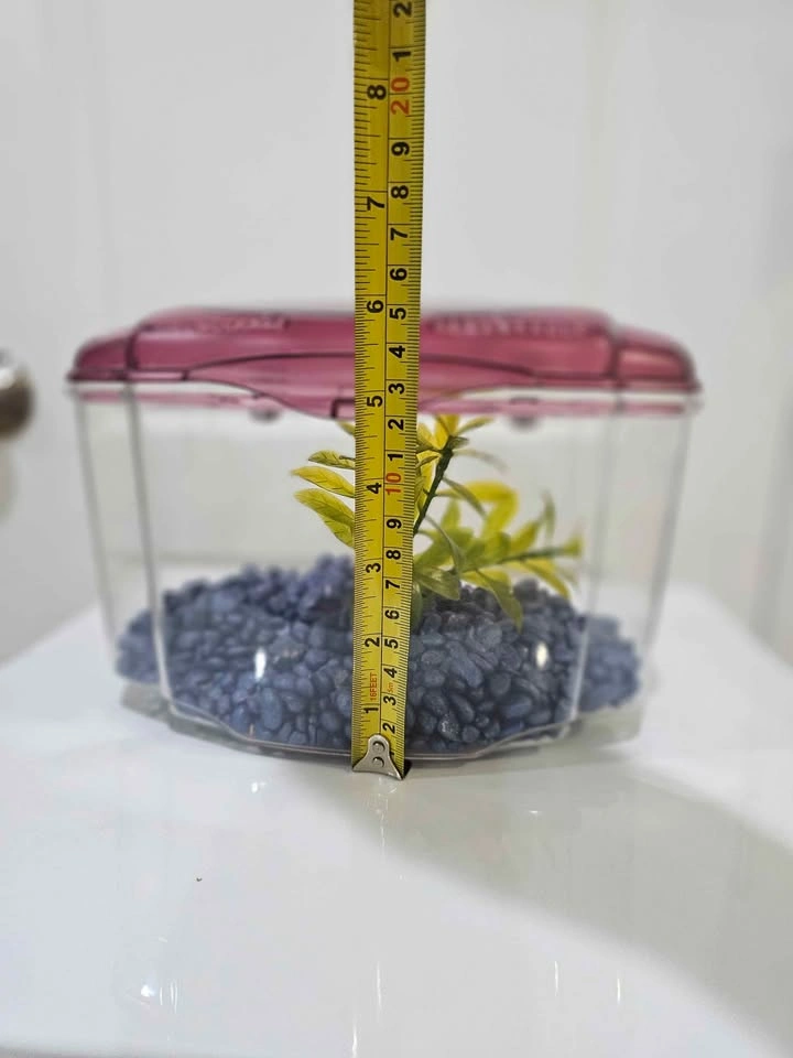 Small plastic fish tank / Portage Park pick up - photo 5