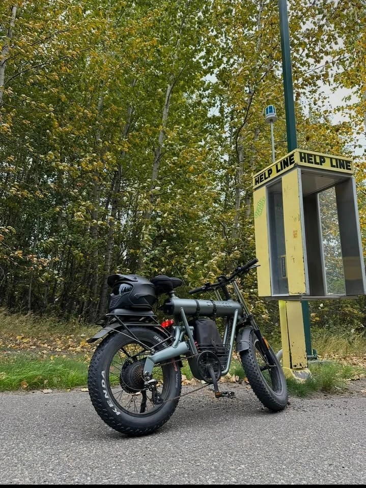 Coswheel T20 Ebike - photo 3