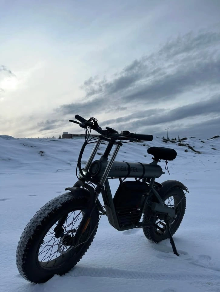 Coswheel T20 Ebike - photo 4