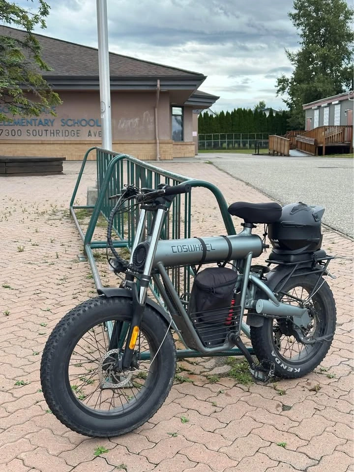 Coswheel T20 Ebike - photo 5