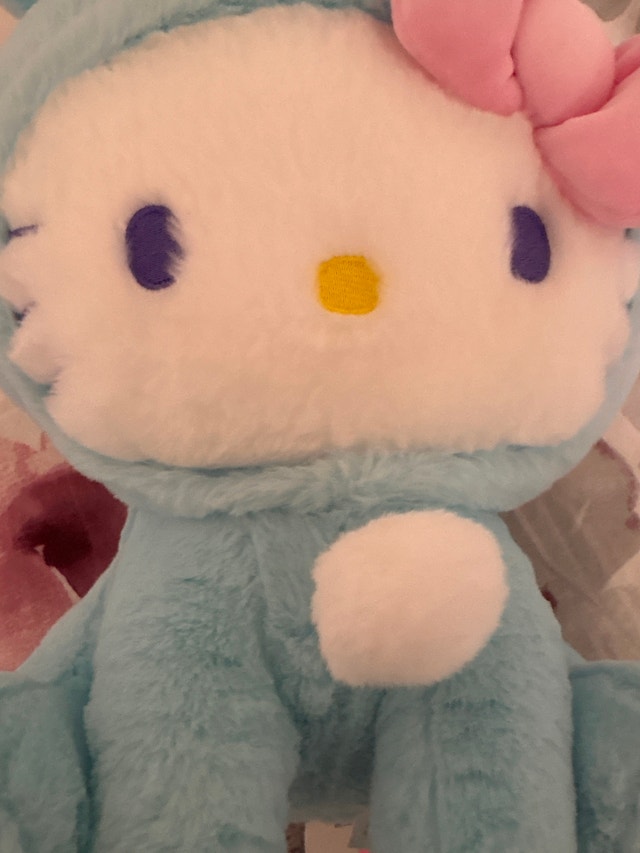 Sanrio Hello Kitty Plush - photo 3