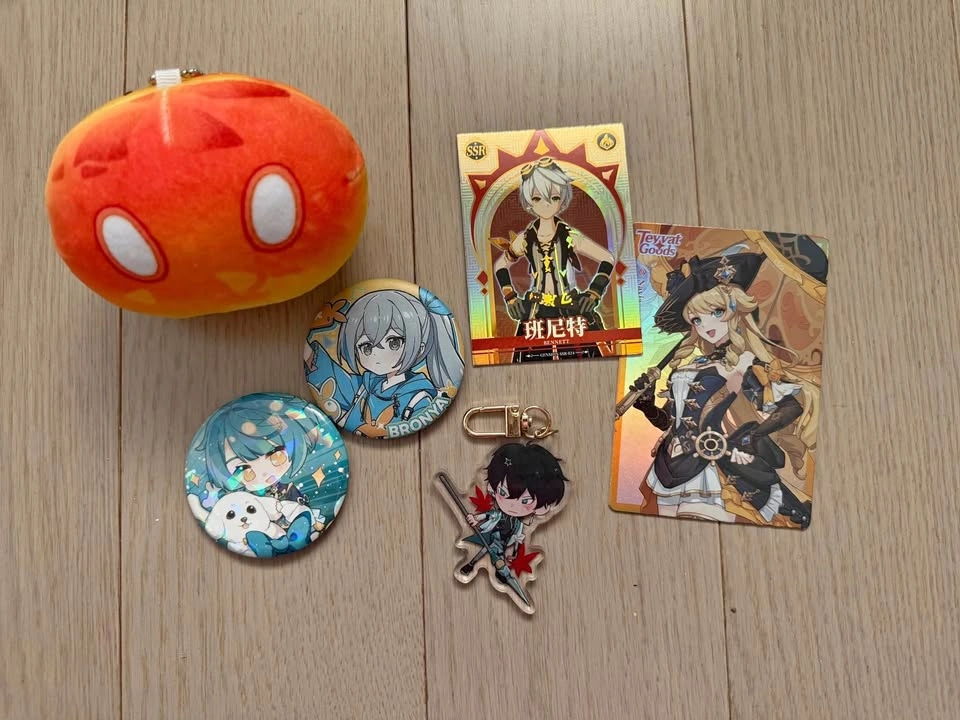 Genshin / Honkai Star Rail / HI3 Hoyoverse items