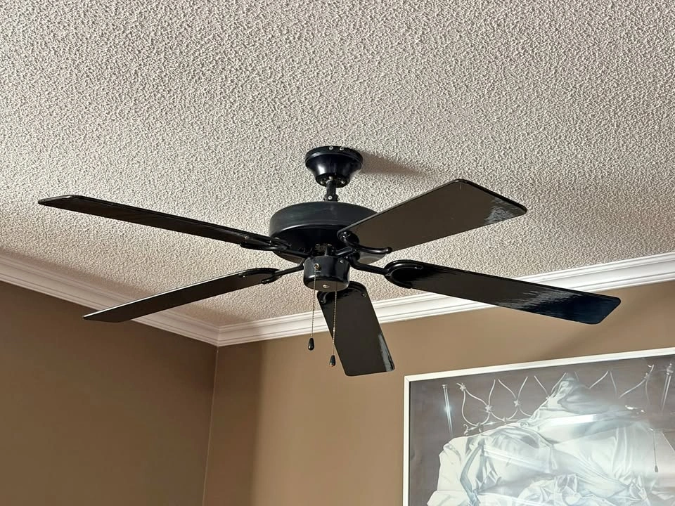 56-Inch Glossy Black 3-Speed Reversing Ceiling Fan