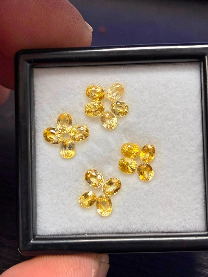 4.35ct Total Natural Yellow Ceylon Sapphire Loose Gemstones
