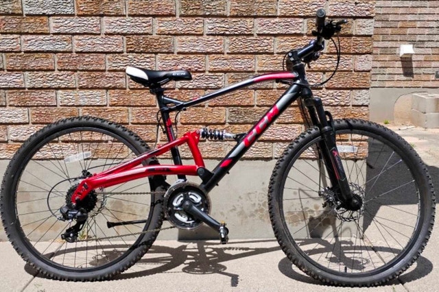CCM mountain bike dual shock Apex line 24 speed - photo 4