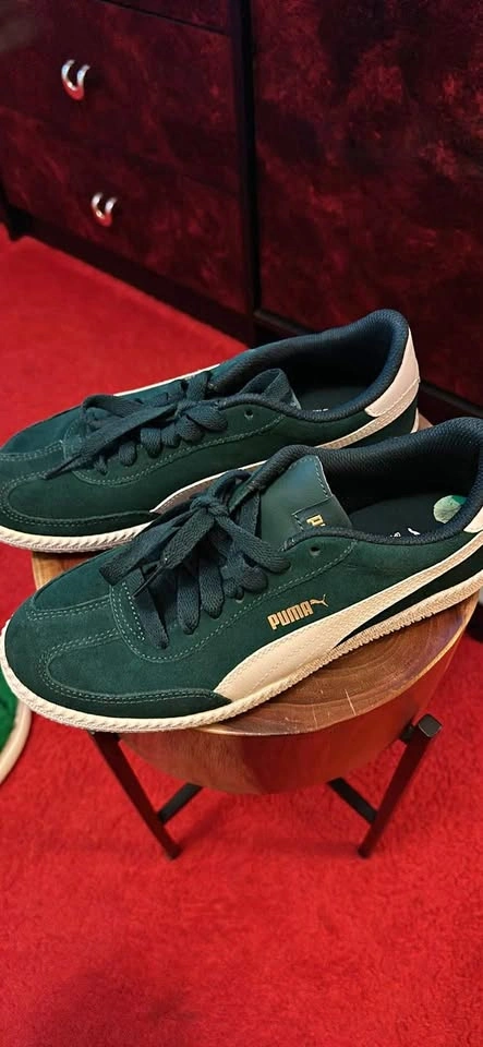 Men’s puma shoes